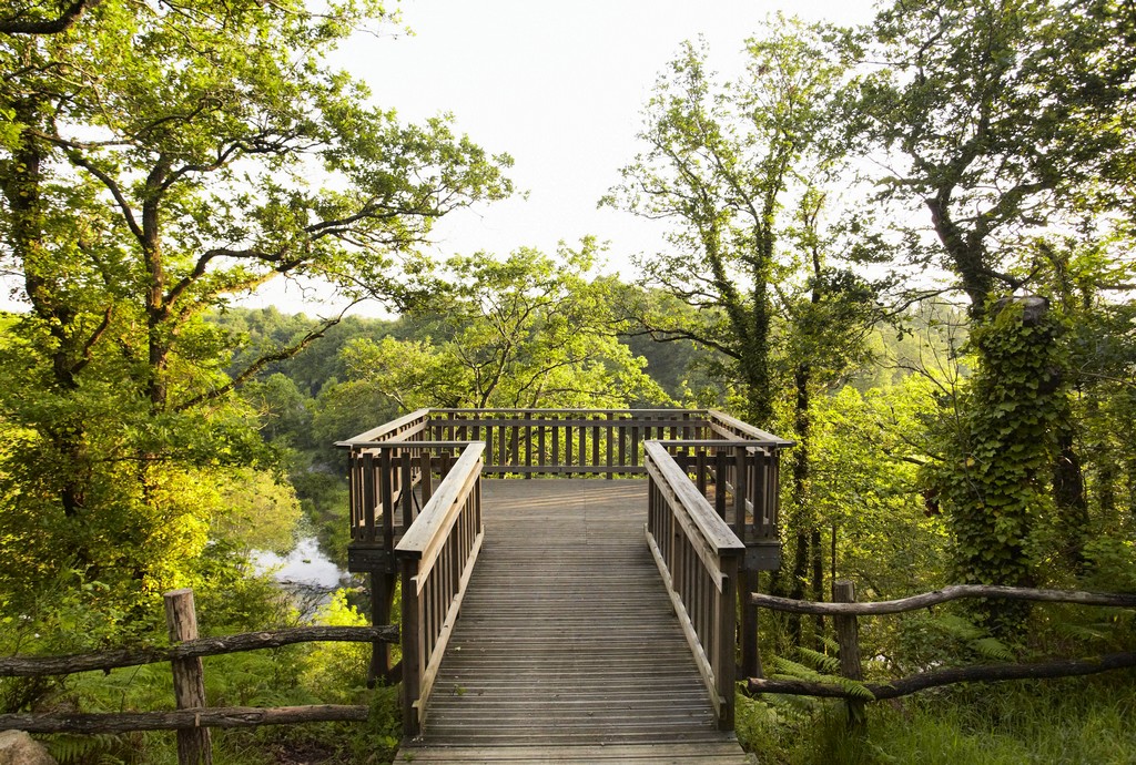 Patrimoine naturel de La Roche sur Yon : parcs et jardins