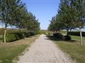 001-photo7