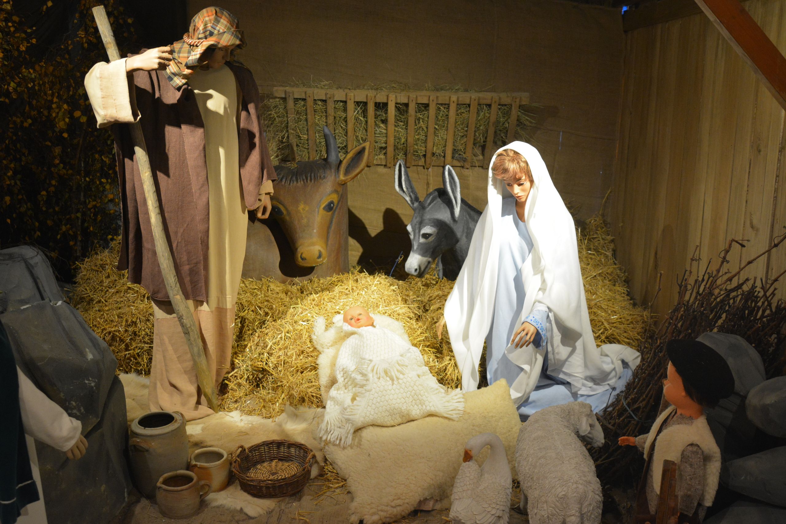 Vendée des Iles 01-12-17-creche-118572