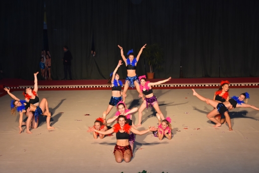 Vendée des Iles 11-30-gala-de-gym-122270