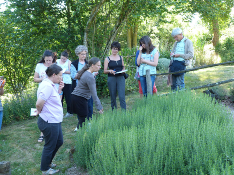 CPIE Sèvre et Bocage 2020-06-27-Stage-CPIE