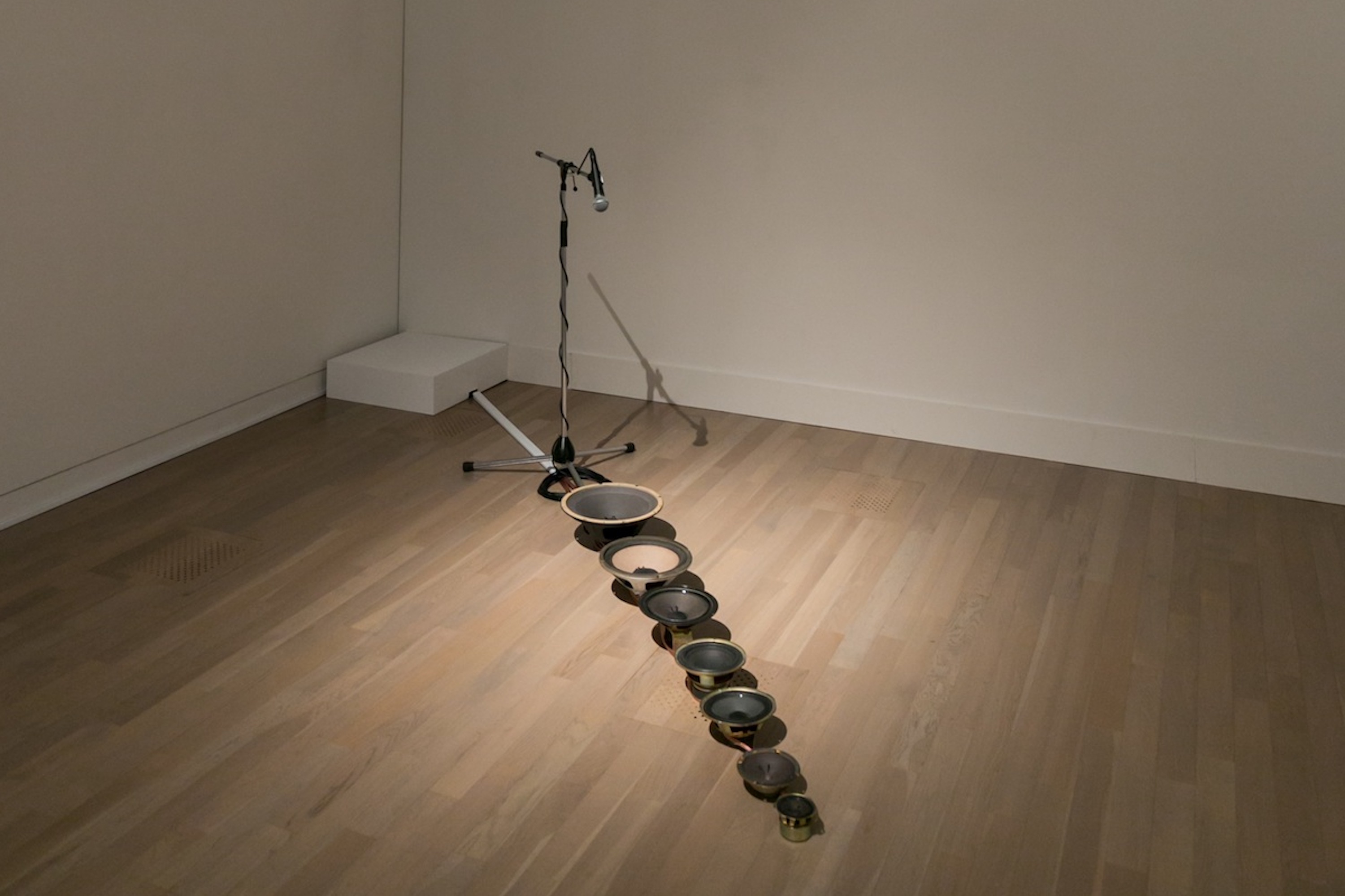 A Line Listening to Itself par Adam Basanta