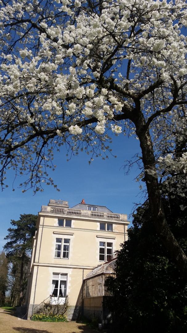 Chambres d&rsquo;hôtes – Château du Ricoudet