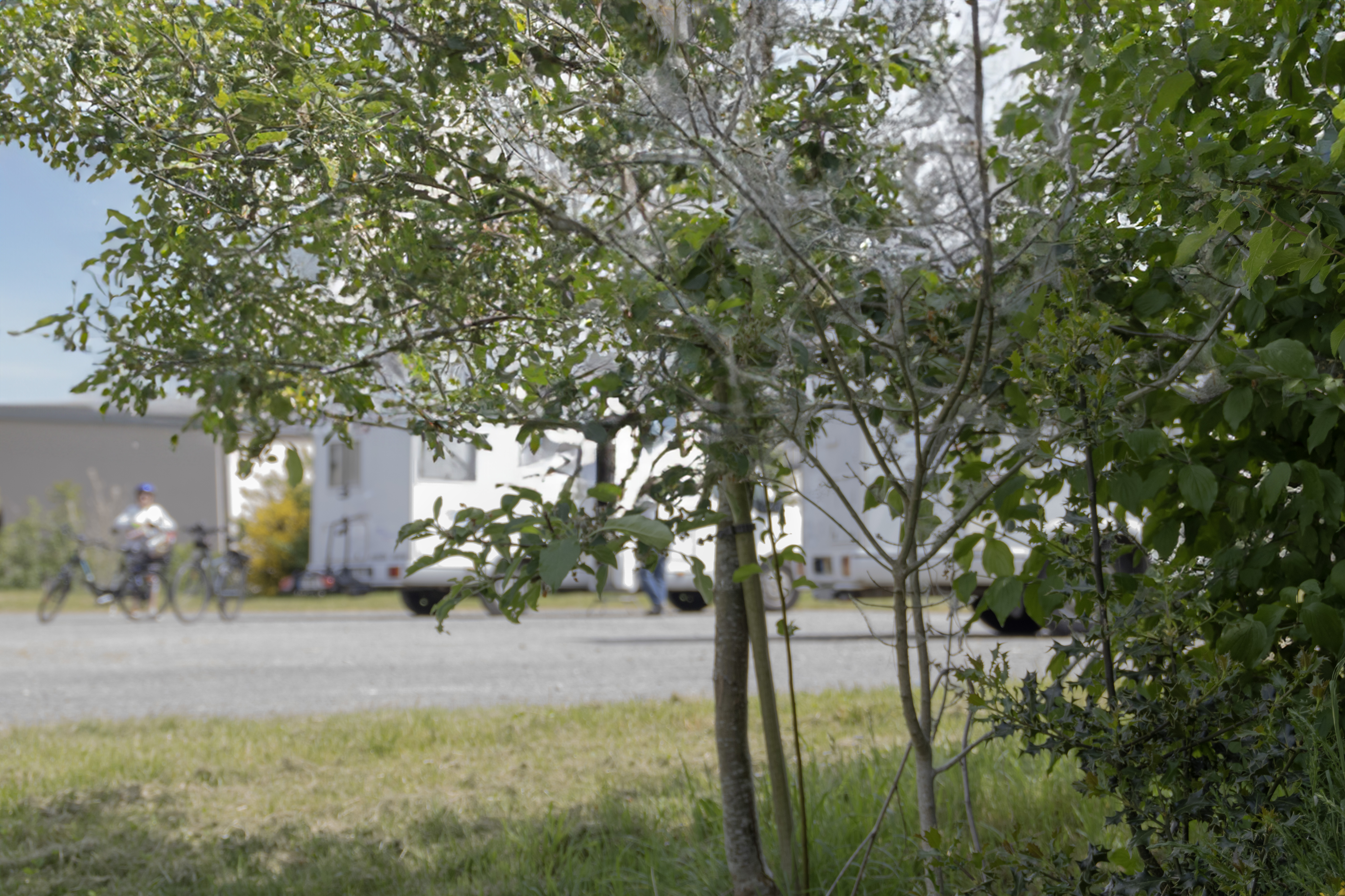 Aire d&rsquo;accueil de la Brique à Changé
