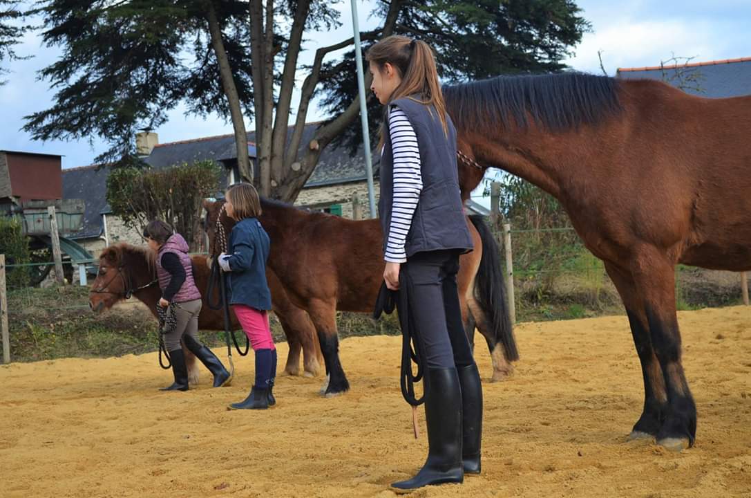 FB_IMG_1541262451842