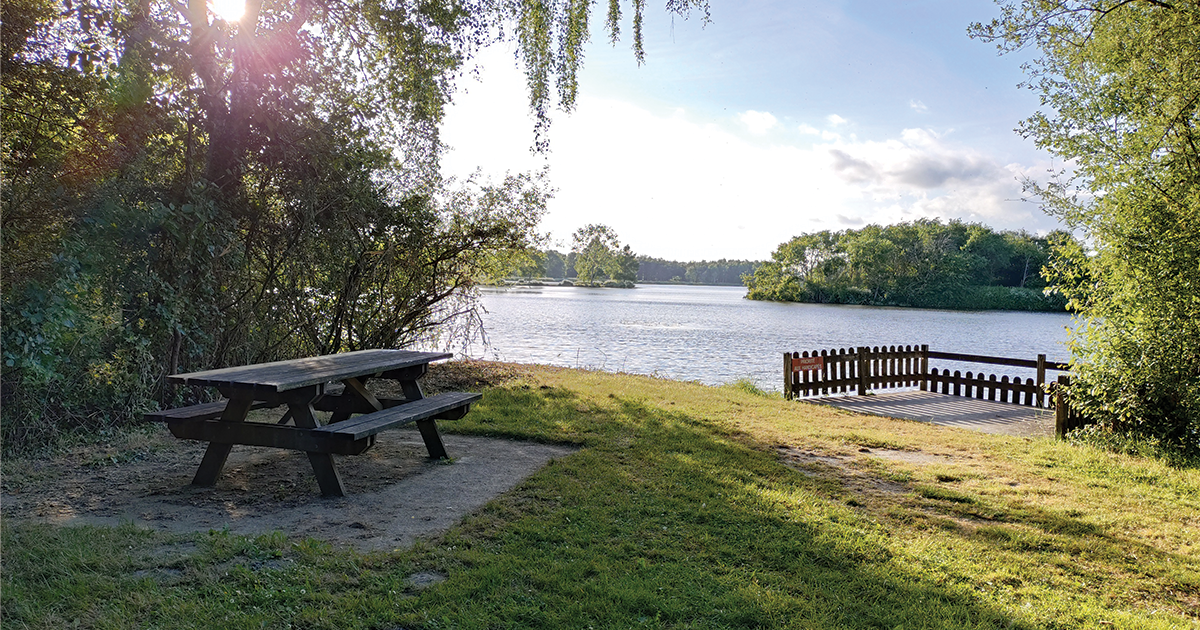 L'Émue, Guinguette  solaire à Issé