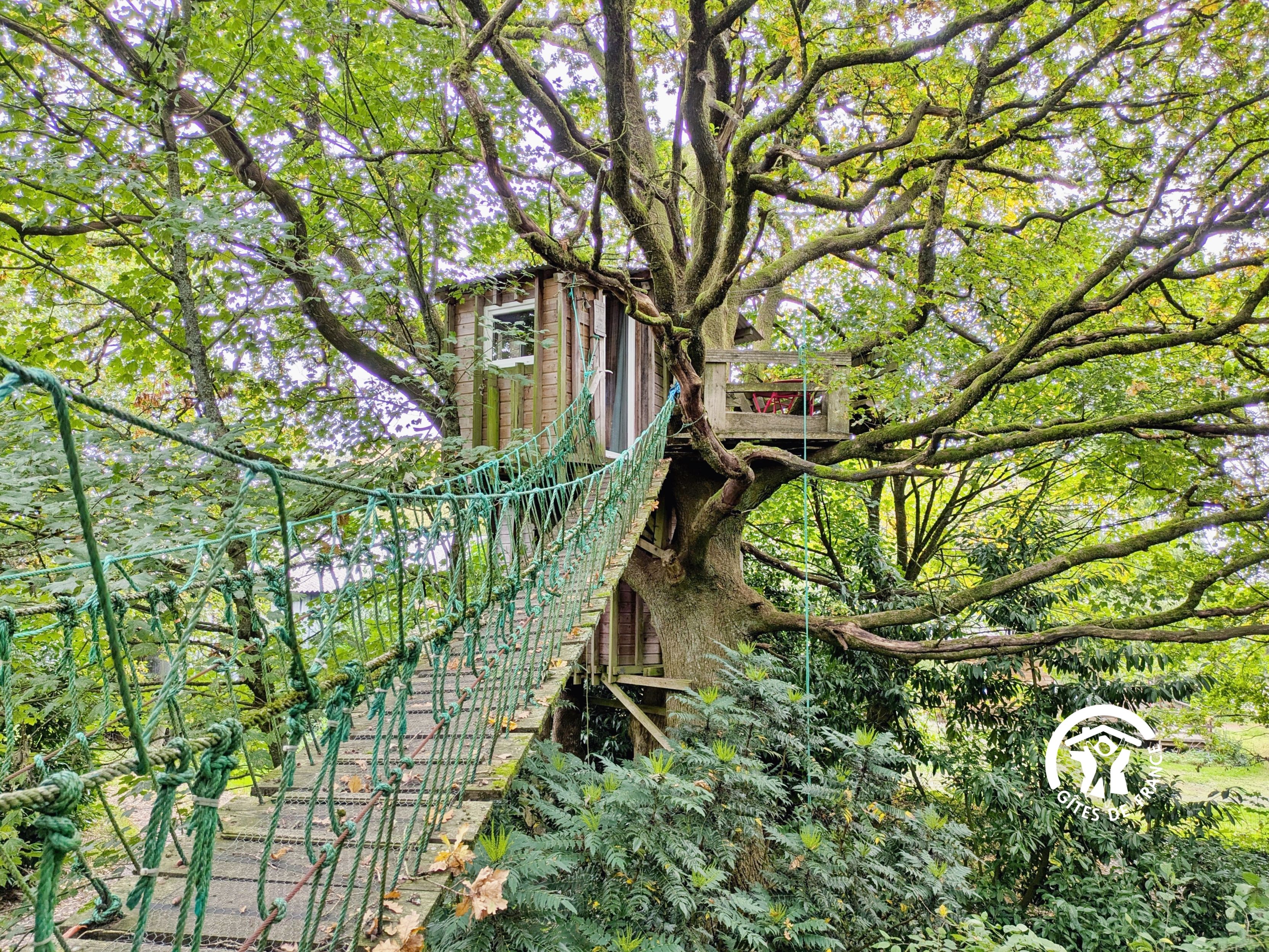 LE NID DANS LE CHÊNE, 1 OU 2 PERSONNES