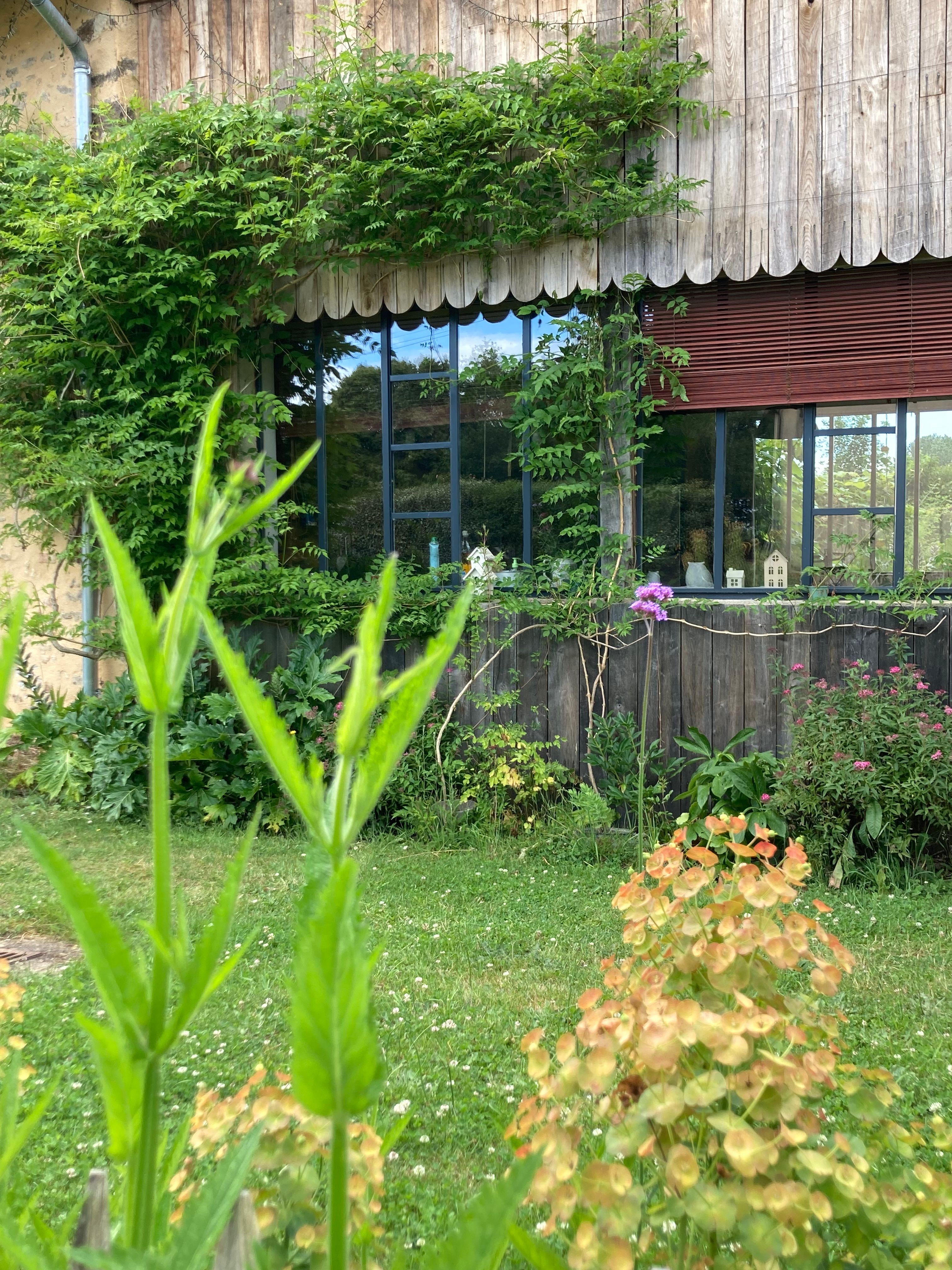 L&rsquo;atelier and cow