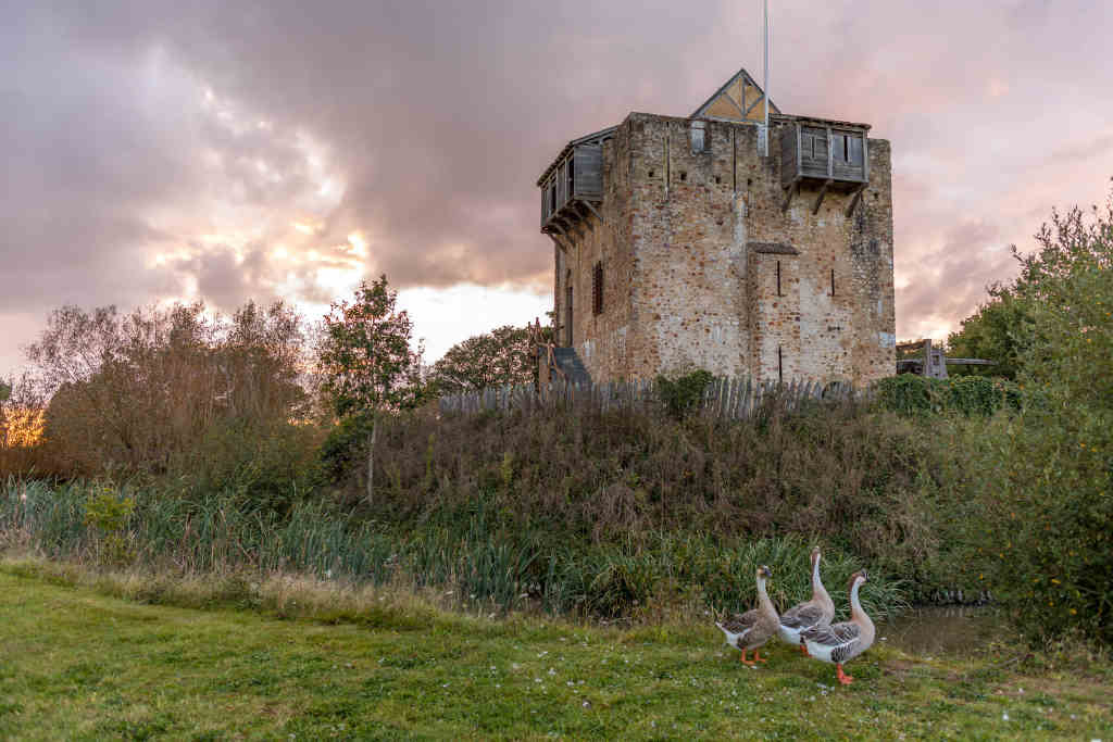 DOMAINE DE LA FERTÉ CLAIRBOIS