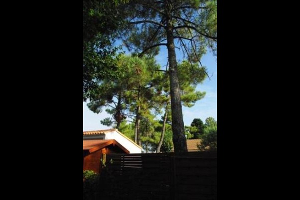 Clévacances France HLOPDL0850007008_1