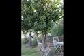 HLOPDL085NOH9692_7