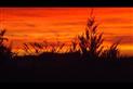 HLOPDL085NOH9770_4