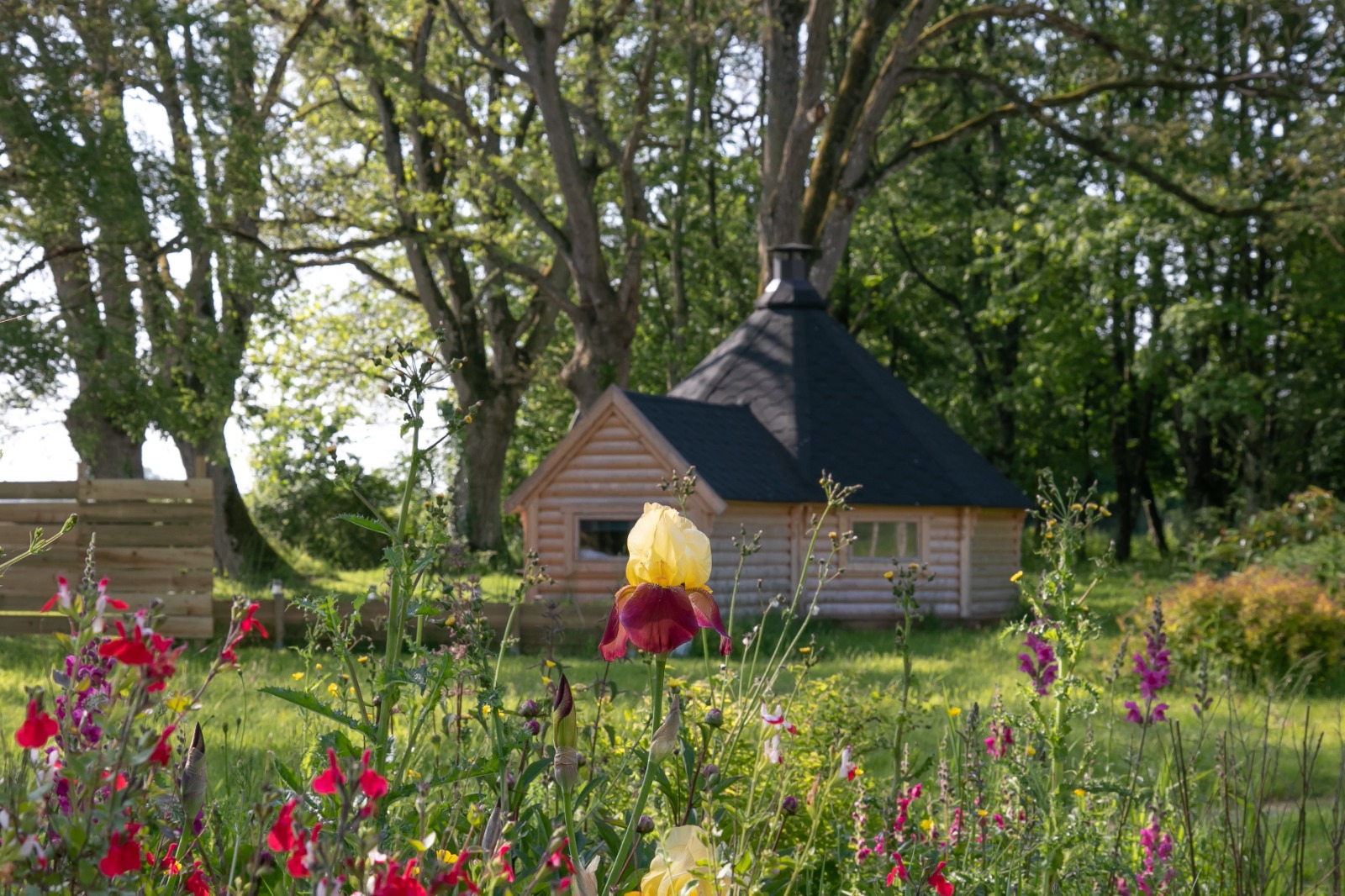 Kota Grill sur le Haut Anjou