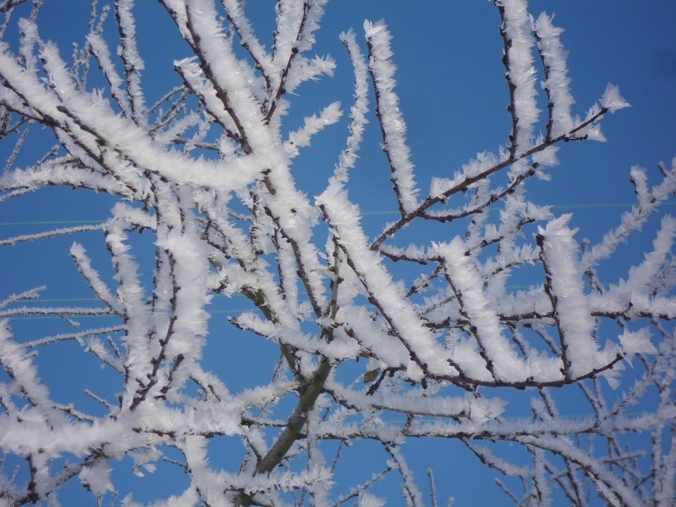 L&rsquo;Obole de Caquisse – Installation sonore