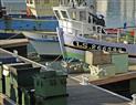 Les%20Sables%20d%20Olonne%20Pool%20BATEAU%207