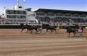 Les%20Sables%20d%20Olonne%20Pool%20HIPPODROME%201