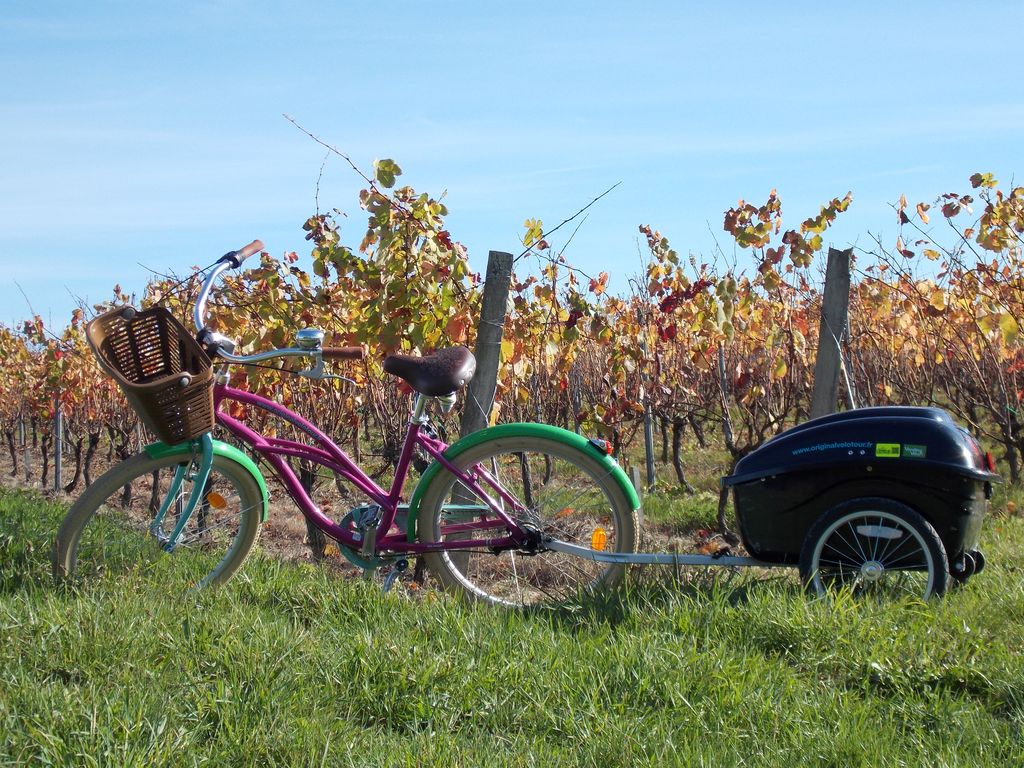 Original-Velo-Tour---Balade-dans-les-vignes-de-Pissotte---Pissotte----PDS---3 Original-Velo-Tour---Balade-dans-les-vignes-de-Pissotte---Pissotte----PDS---3