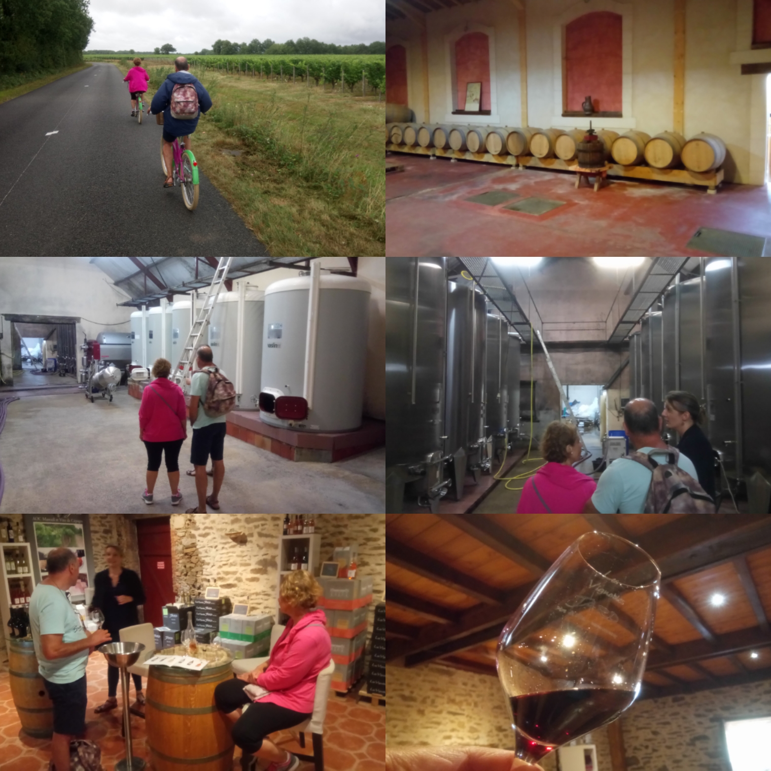 cdt@originalvelotour Original Vélo Tour - Balade dans les vignes de Rosnay