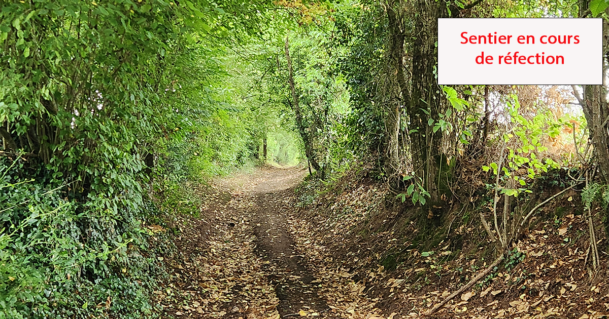 Sentier Chênes et Chataigniers - Ruffigné
