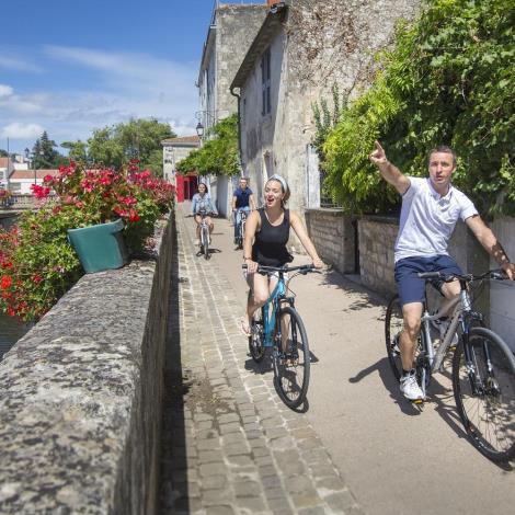 Transfontenaysienne
