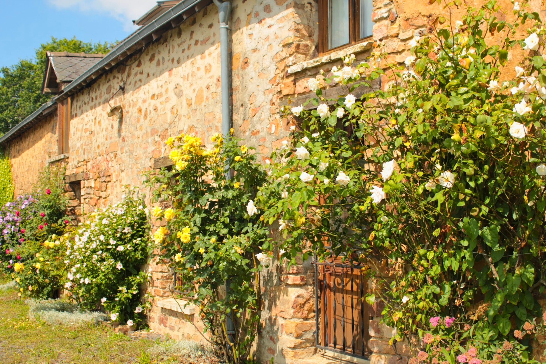 Gîtes de la Charnie : Valifer
