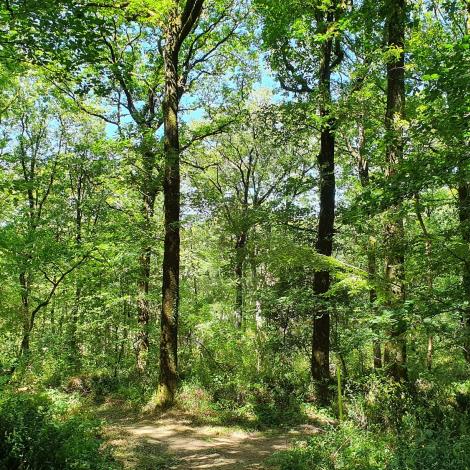 VTT 6 L'Orbrie (1)