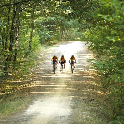 VTT Mervent