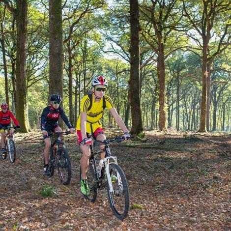 VTT en forêt de Mervent