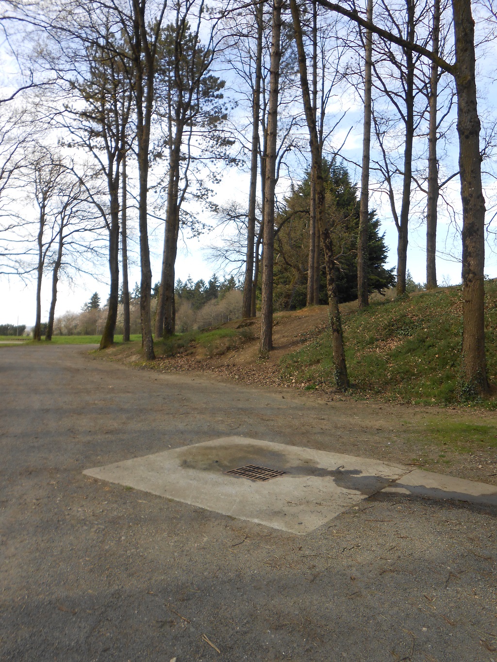 Aire du bois de la Pentière
