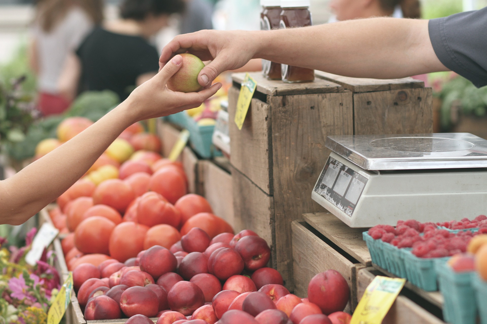 ©Pixabay apples-1841132-1920