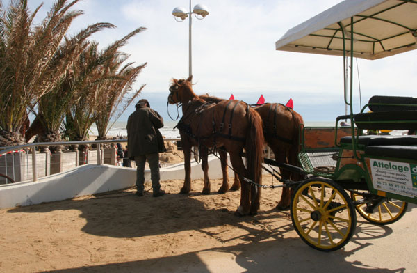 Vendée des Iles balades-en-caleche-sur-l-esplanade-9833-57860