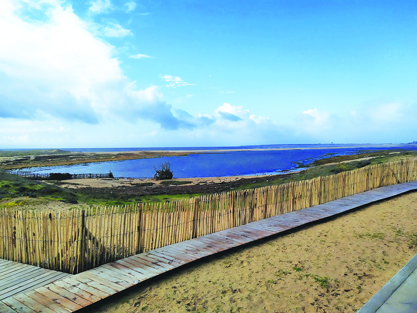 Sortie nature Sortie nature