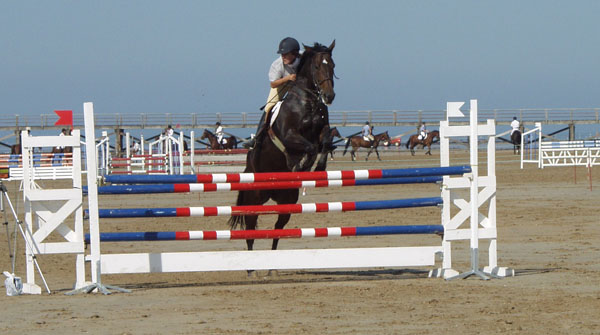Vendée des Iles Caval'Océane - CSO