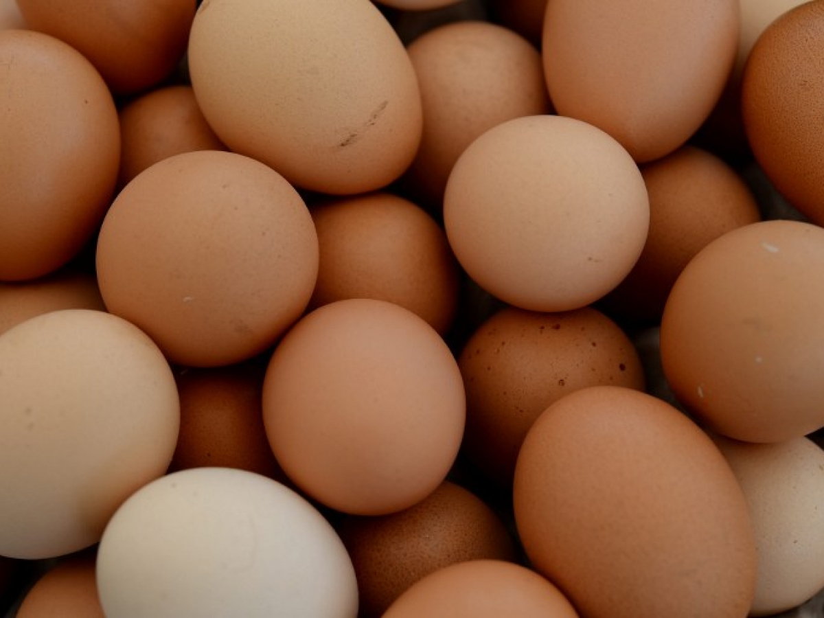 Oeufs