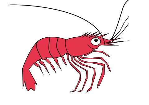 Vendée des Iles