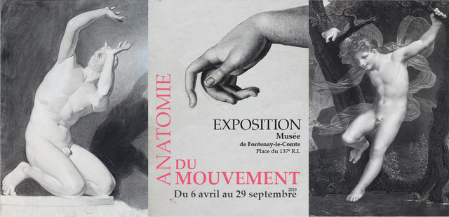 musée expo-anatomie-du-mouvement-fontenay-le-comte