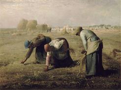 millet expo-millet-nieul-85-fma