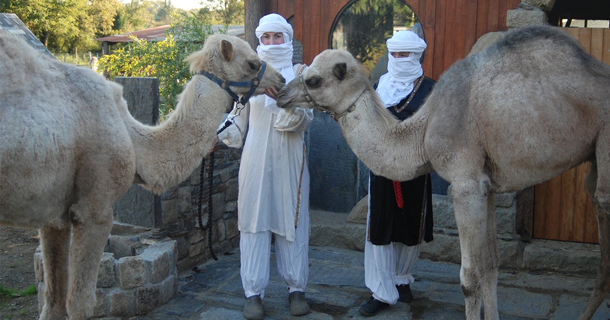 ferme symphonie equestre