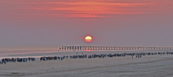 Vendée des Iles La Dunaire Montoise