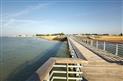 latranchesurmer3_1