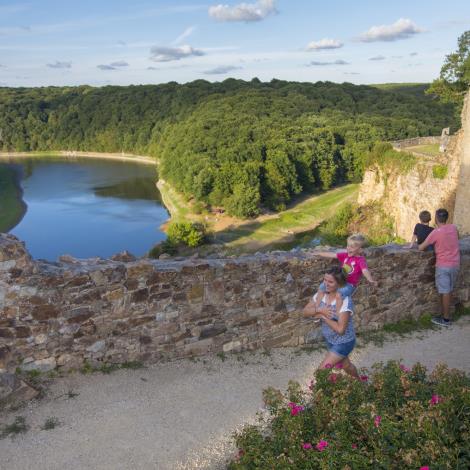 mervent-vue-panoramique-lac-foret-chateau-fontenay-vendee-85200-1