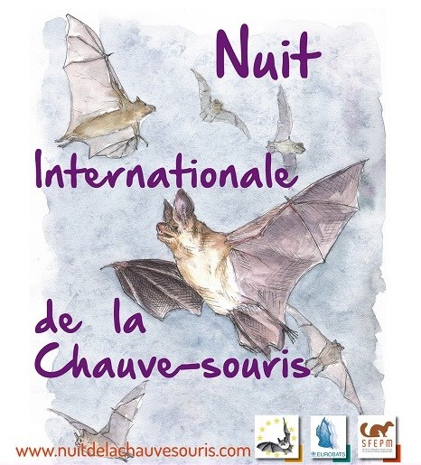 LPO Vendée nuit-internationale-de-la-chauve-souris