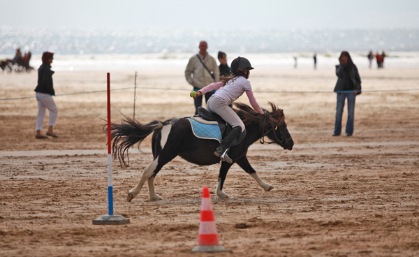Vendée des Iles Caval'Océane - Pony Games