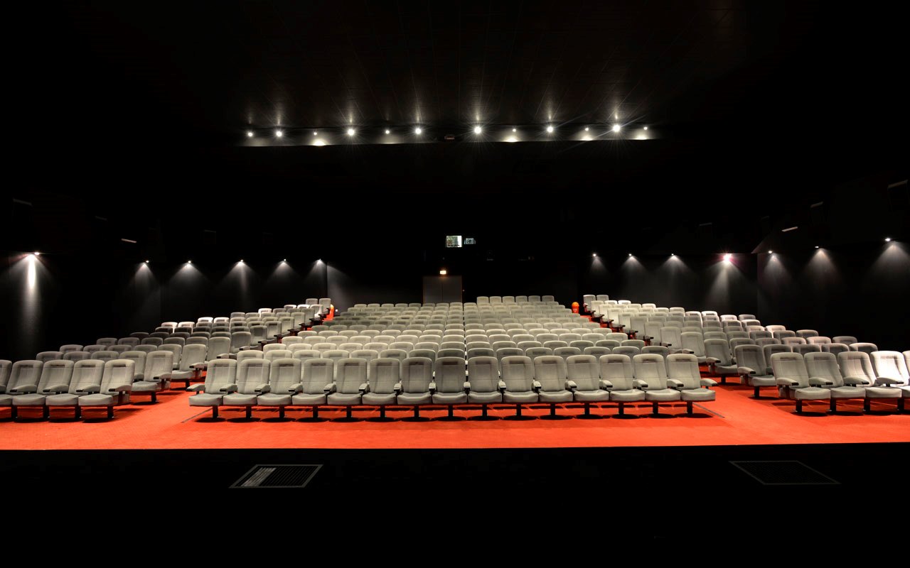 Cinéma Le Palace Aux Sables D Olonne Programme