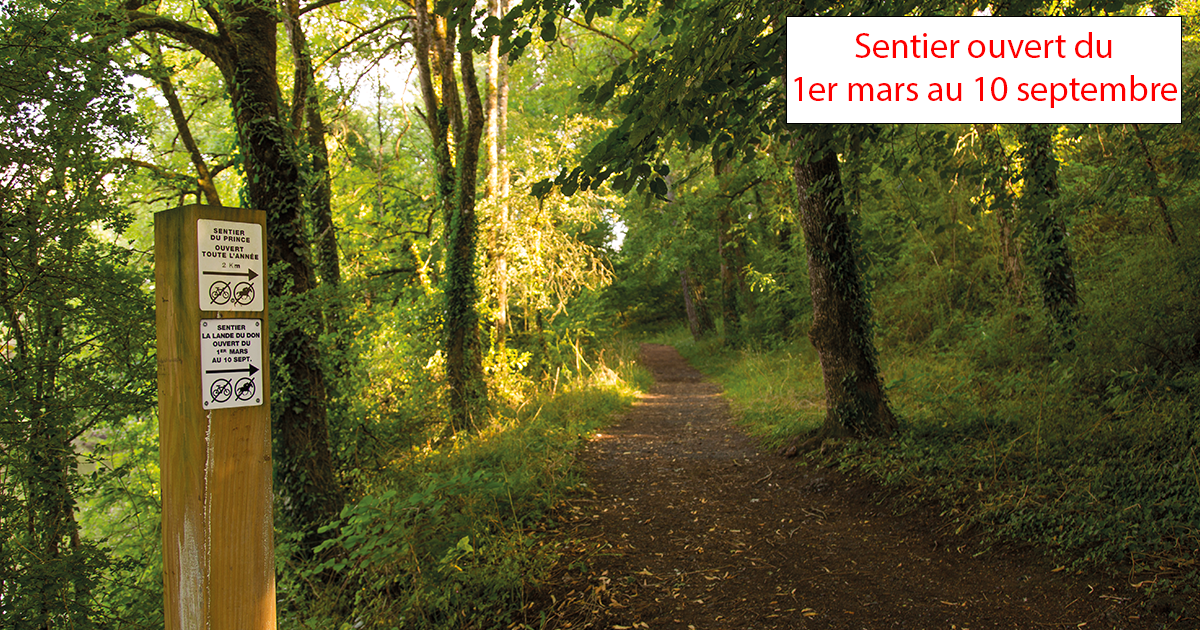 Sentier de la Lande du Don - Moisdon la Rivière
