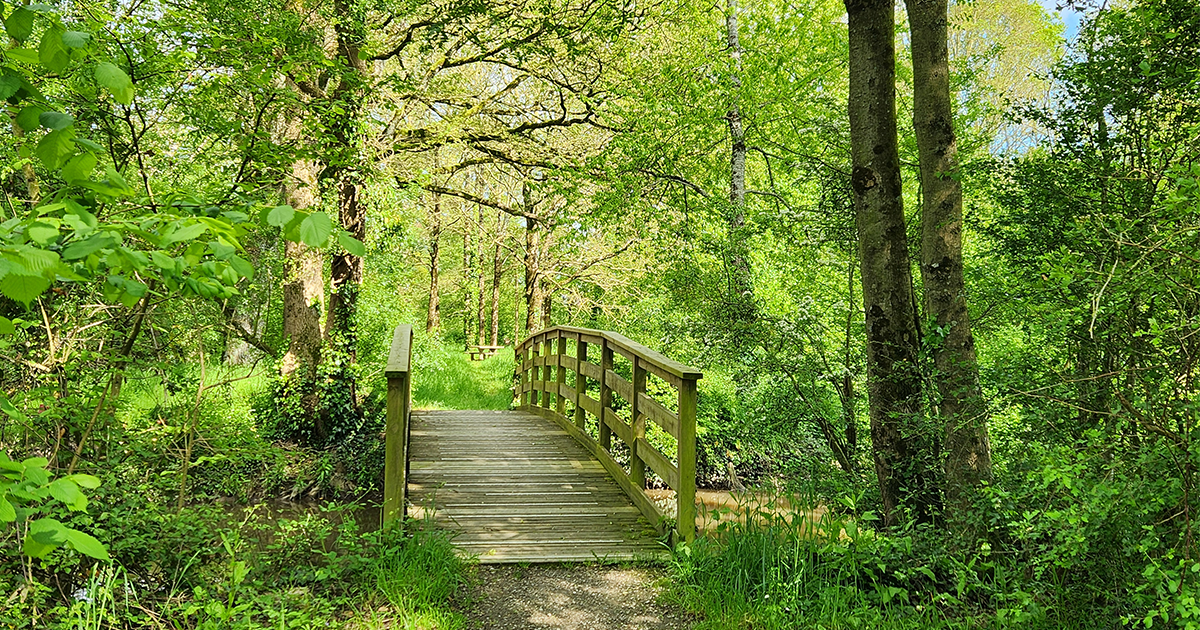 sentier de Fritillaire- Jans