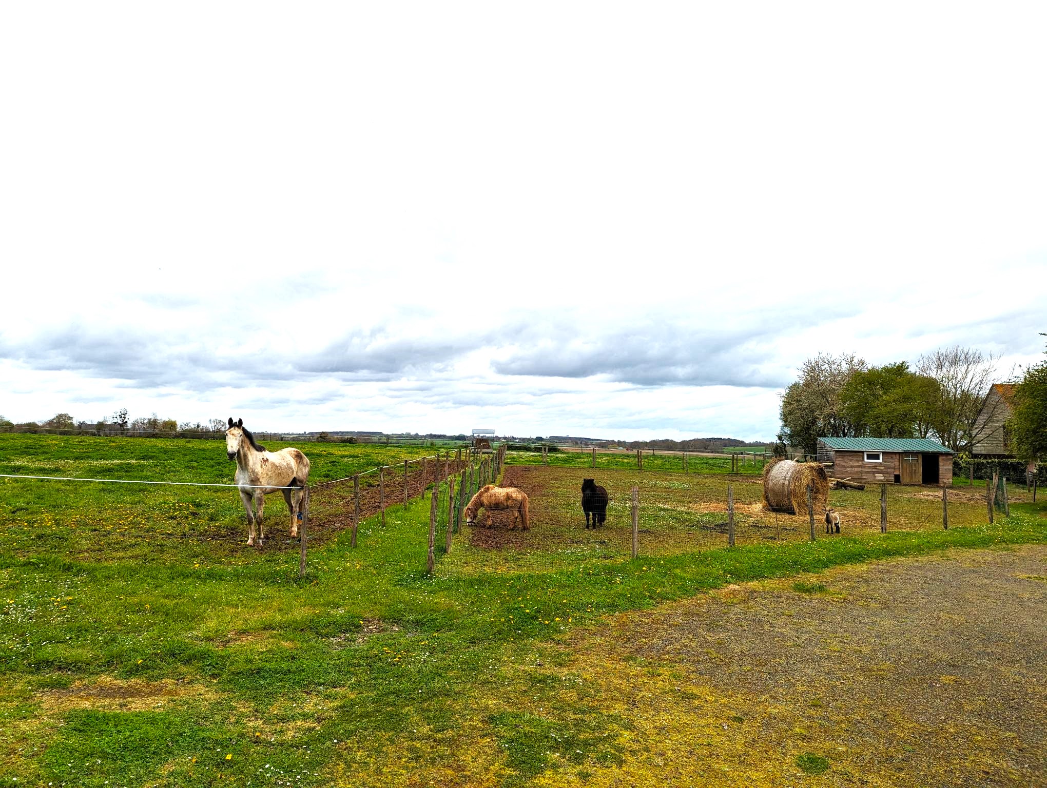 Aire de stationnement « Au Nid Douillet »