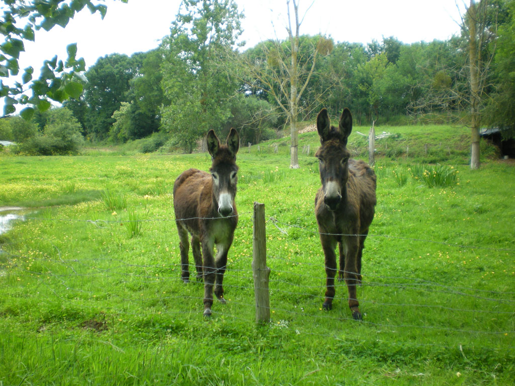 Chambres d&rsquo;hôtes Moulin de la Chaussée