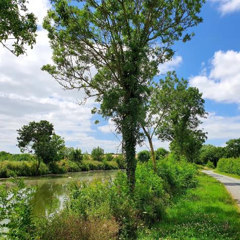 vélo-les-voies-velluire
